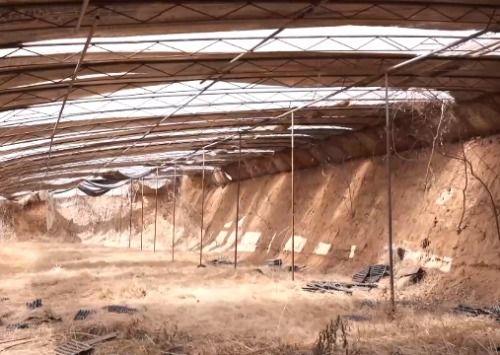 邯郸初中生杀人案最新爆料  第3张